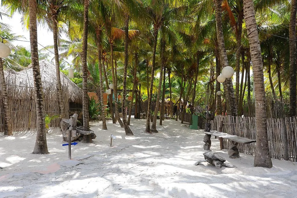 Zamas Hotel Tulum Mexico