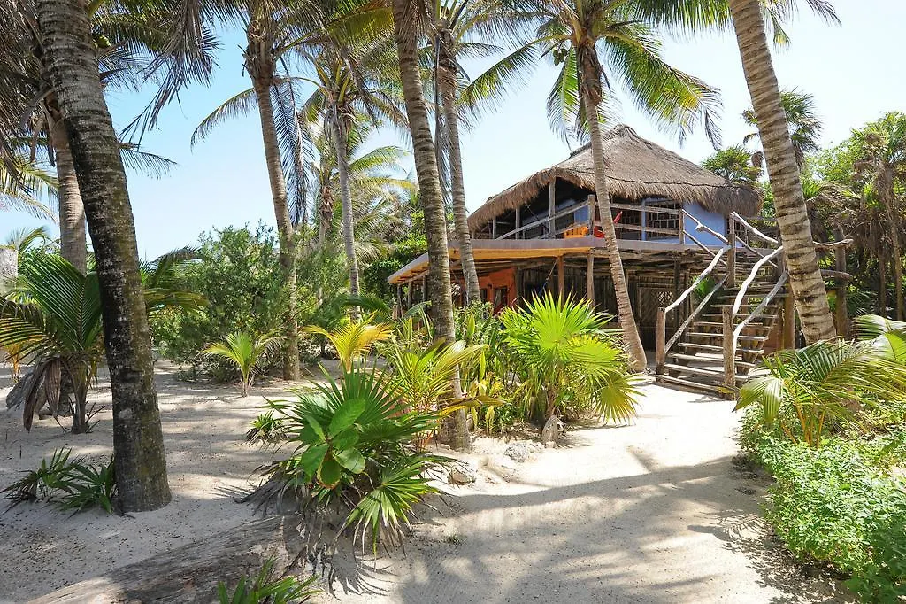 Zamas Hotel Tulum