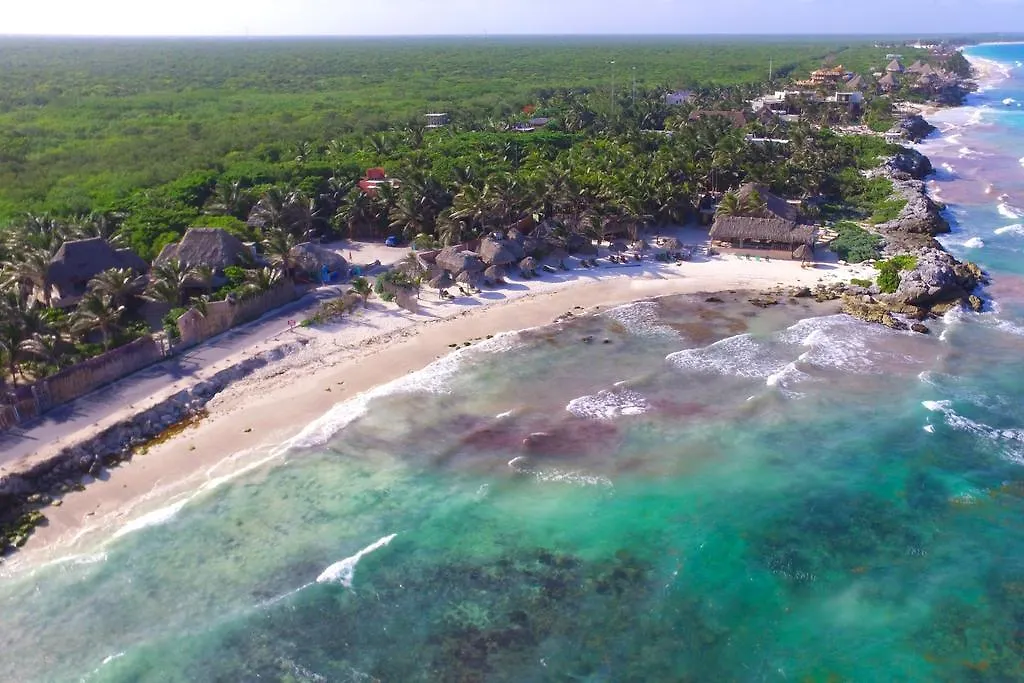 Zamas Hotel Tulum Mexico